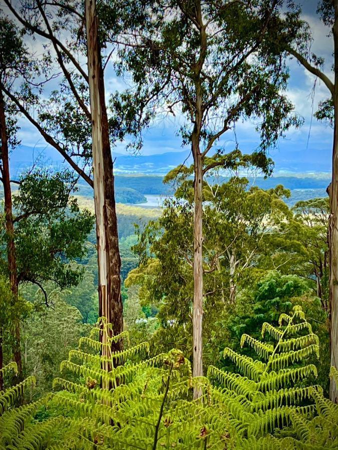 Melbourne Topview Villa In Dandenong Ranges Near Skyhigh Kalorama Exteriör bild