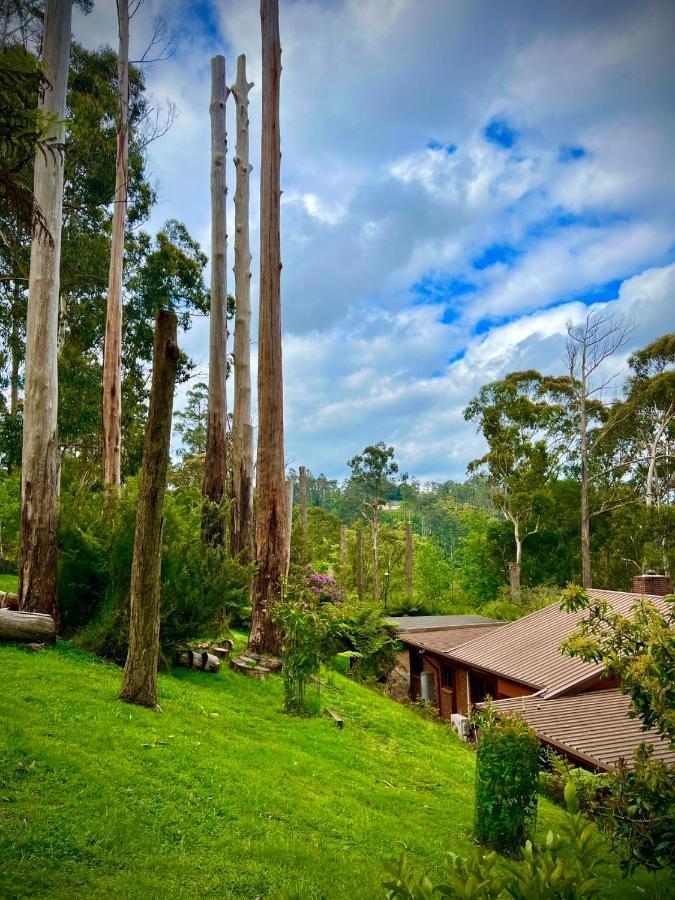 Melbourne Topview Villa In Dandenong Ranges Near Skyhigh Kalorama Exteriör bild