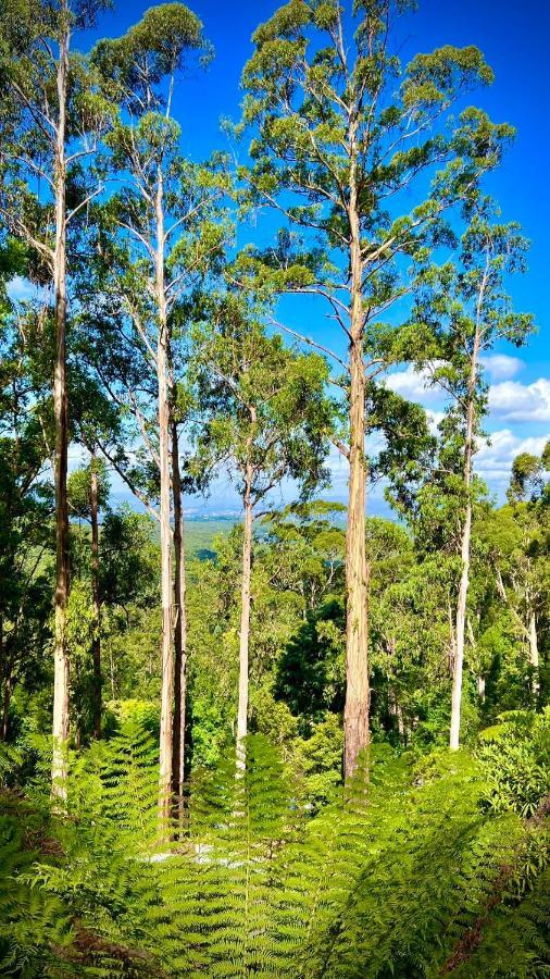 Melbourne Topview Villa In Dandenong Ranges Near Skyhigh Kalorama Exteriör bild
