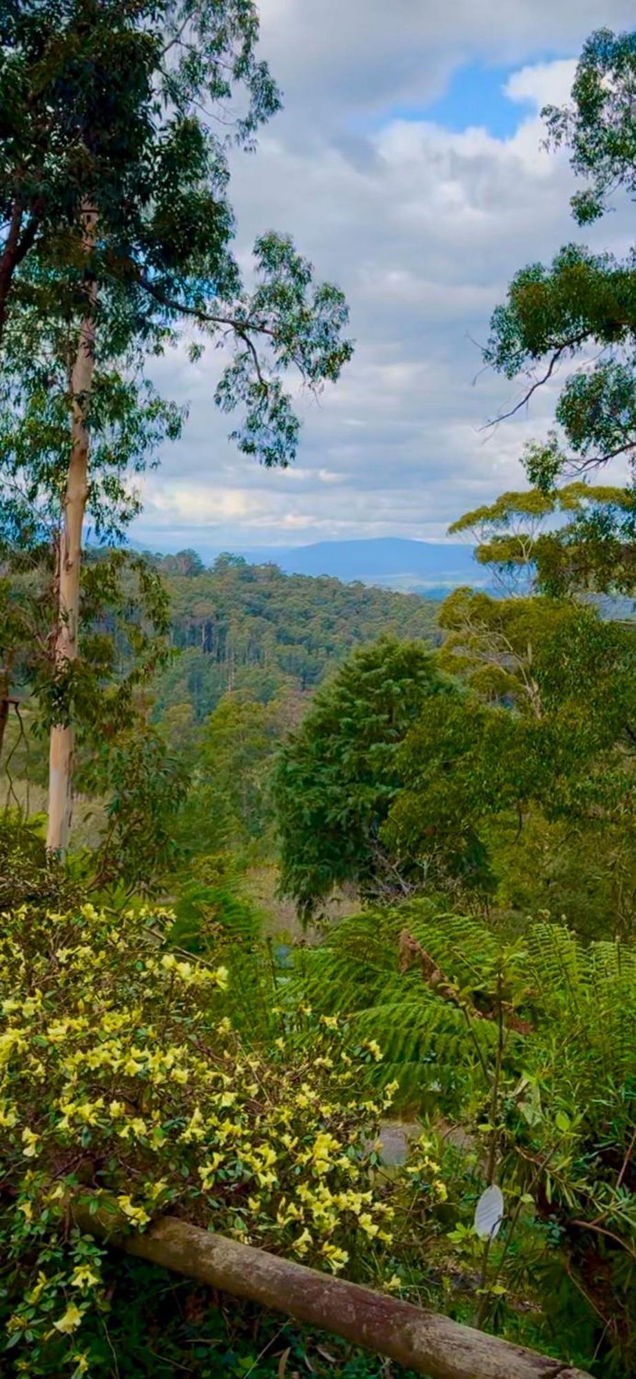 Melbourne Topview Villa In Dandenong Ranges Near Skyhigh Kalorama Exteriör bild