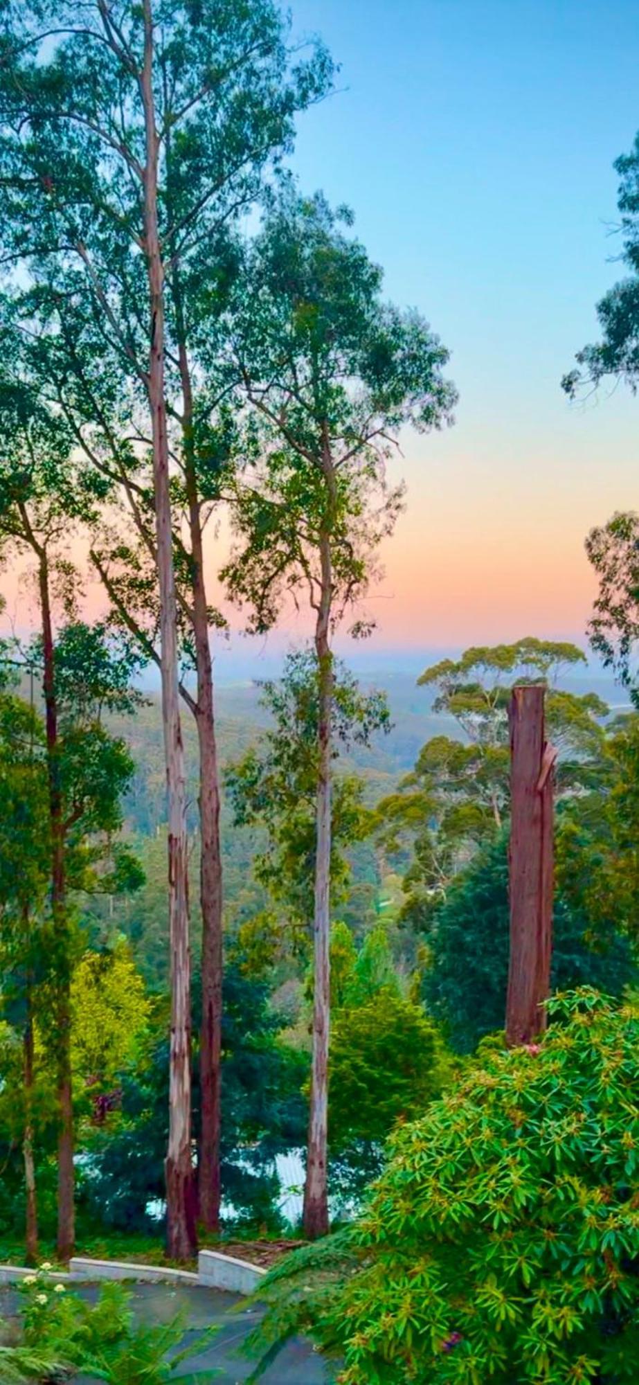 Melbourne Topview Villa In Dandenong Ranges Near Skyhigh Kalorama Exteriör bild