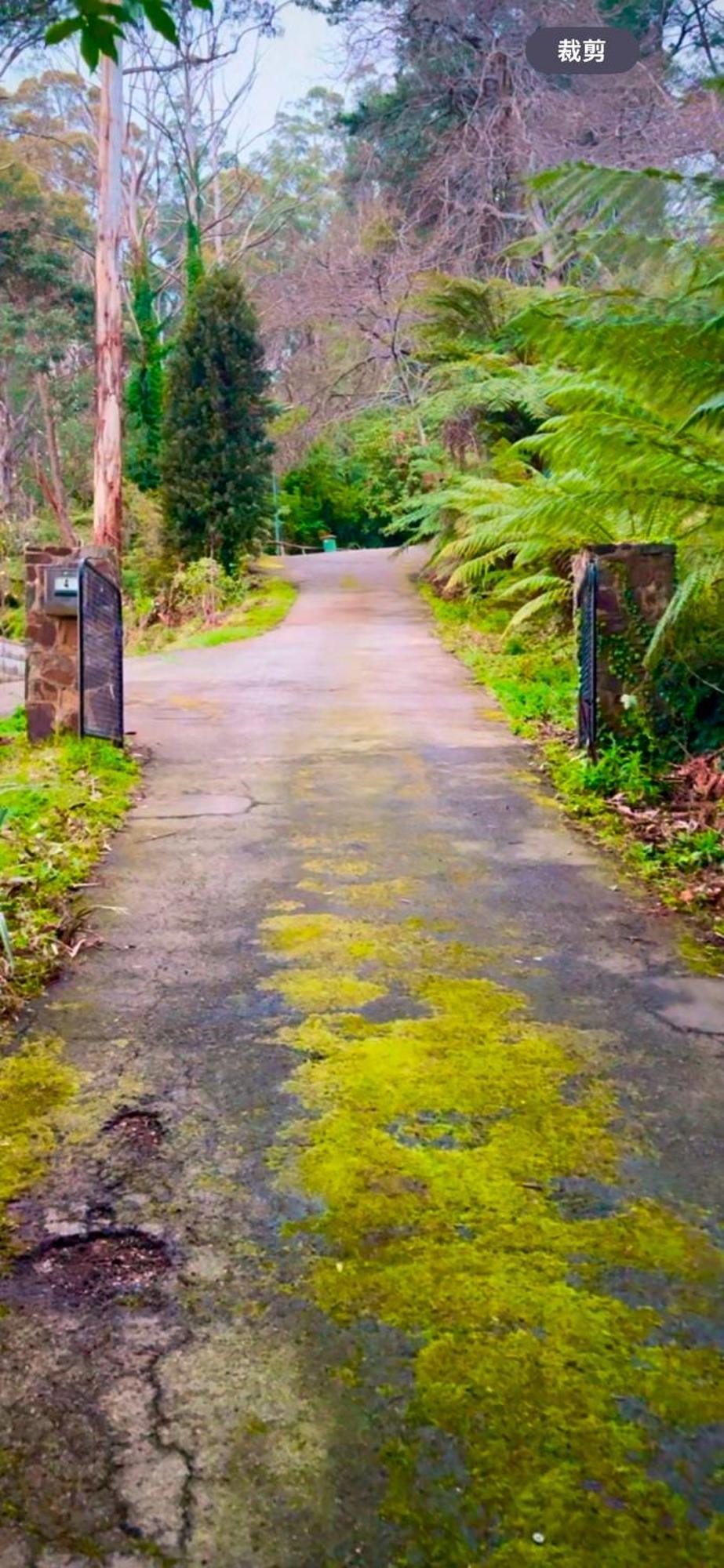 Melbourne Topview Villa In Dandenong Ranges Near Skyhigh Kalorama Exteriör bild